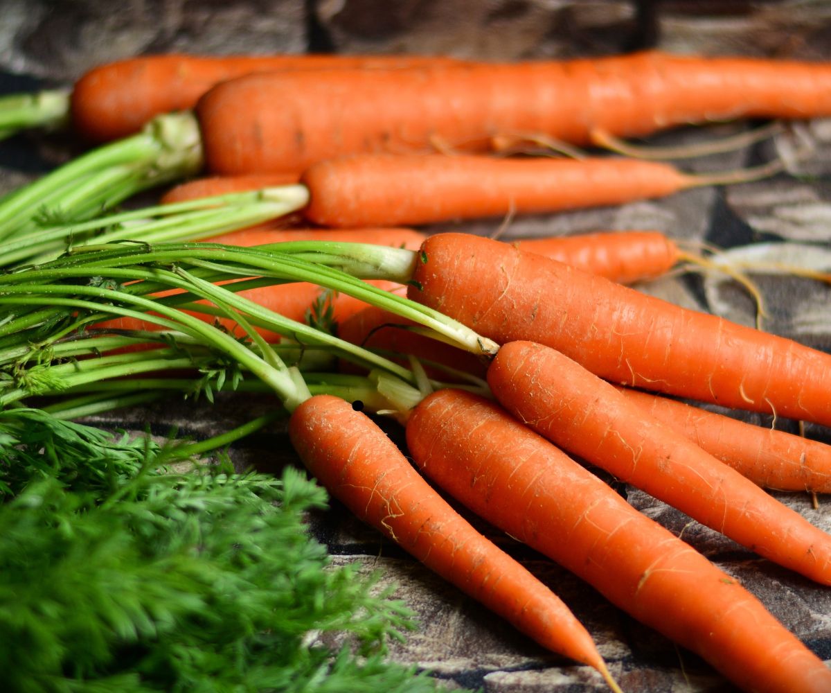 Are Carrots Good for Eyes? - Best Eye Hospital in Nairobi - Healing ...